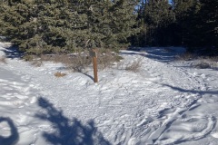 20220121-0950-Sharp-turn-from-Crest-Trail-to-Kiwanis-Meadow-Trail