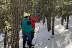 20220121-1055-Attempt-to-pull-down-leaner-on-Switchback-Trail-unsuccessful