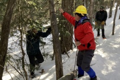 20220121-1103-Falling-tree-broke-another-tree-creating-a-hazard