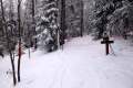 DSCN3465
