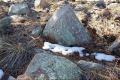 20180227 CATIP-Armijo-lichen-covered-rocks