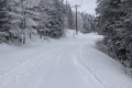 IMG_0542