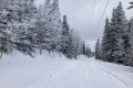IMG_0544