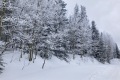 IMG_0545