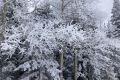 IMG_0548