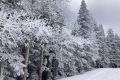 IMG_0549