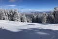 IMG_0550