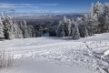 IMG_0551