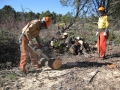 CEDRO_AREA_RESTORATION_WITH_SAM_AND_BOB_CUTTING_UP_LOGS_CS-2