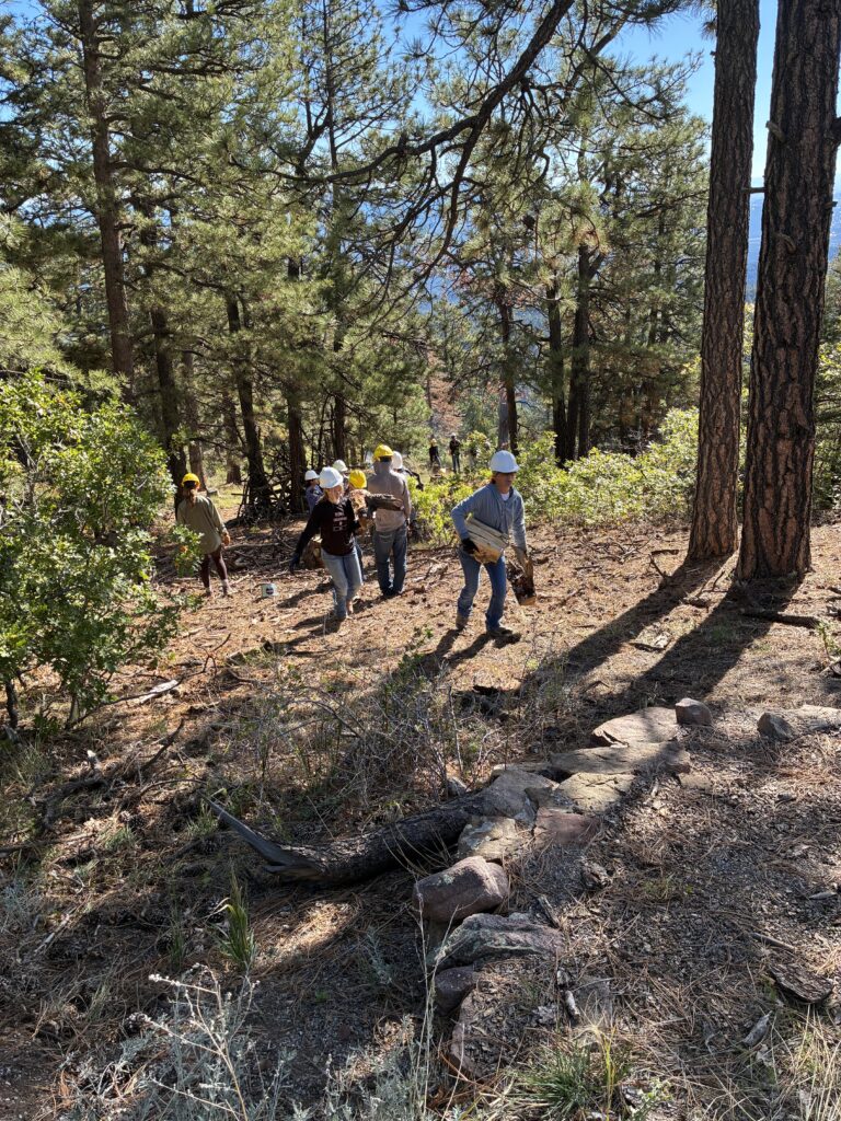 20261007 1001 Students hauling wood uphill by hand